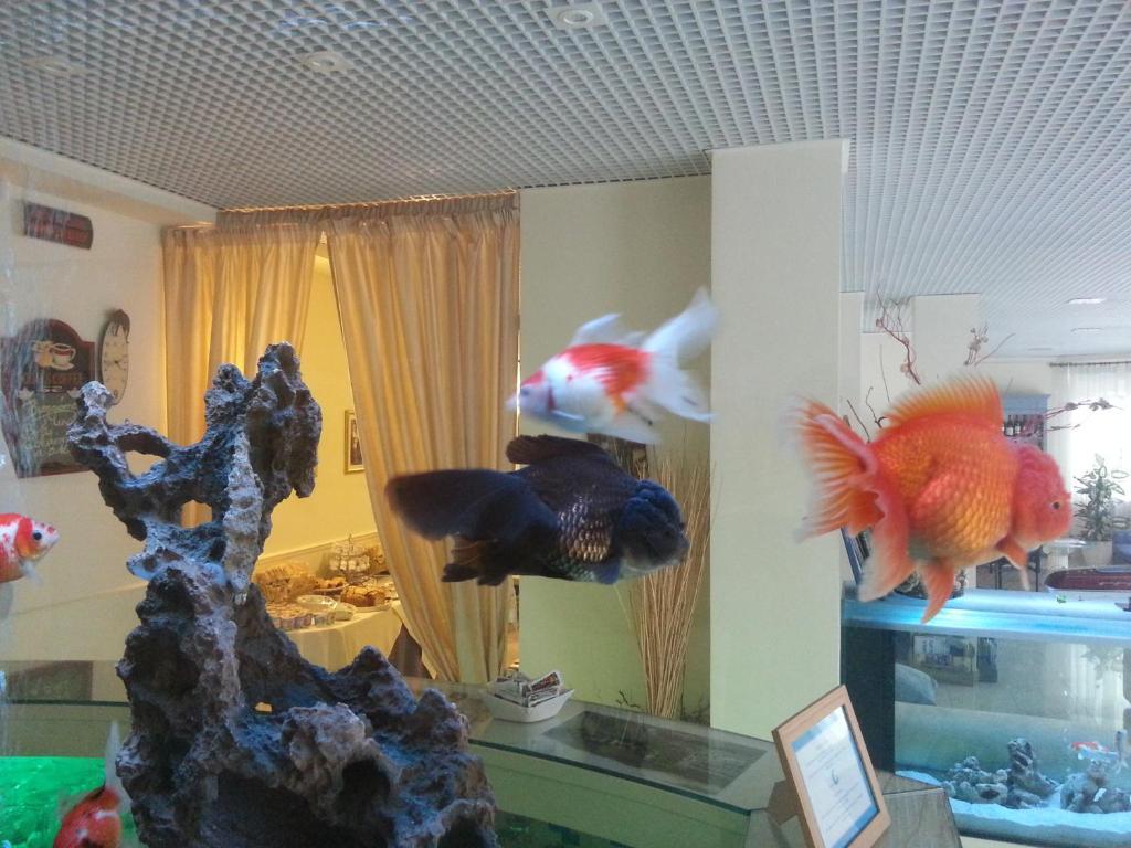 Hotel Il Gatto Rapallo Eksteriør bilde